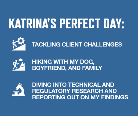 Graphic with blue background and white font listing Katrina Wells' perfect day activities: Tackling client challenges   Hiking with my dog, boyfriend, and family   Diving into technical and regulatory research and reporting out on my findings 