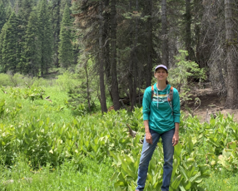 Photo of Michelle Lewis standing in a meadow with tall pine trees behind her while on a hike.